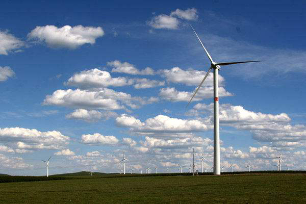 風電場 風電場
